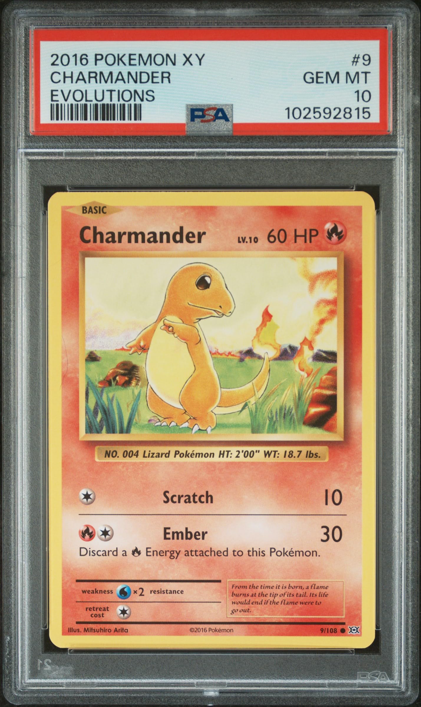 Amazon.com: Pokemon TCG: 1x Random Graded Pokemon Card (Beckett